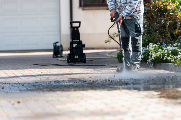 Best House Pressure Washing  in Bear Creek, AL