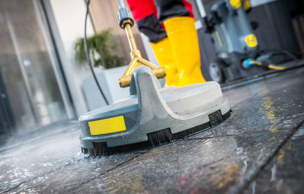 Professional Pressure Washing in Bear Creek, AL