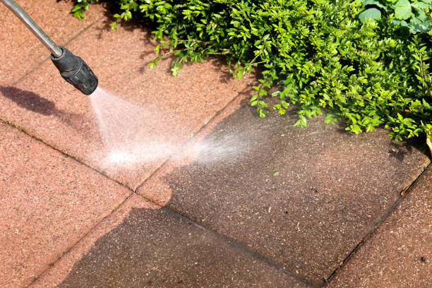Best Pressure Washing Near Me  in Bear Creek, AL